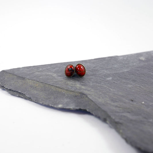 Puces Oreilles Colette 5 coloris