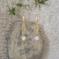 Tige oreille Iris